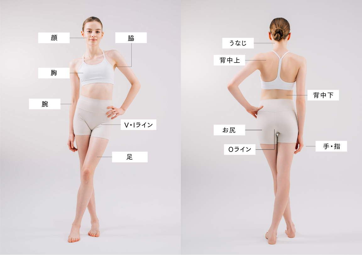 コードレス光美容器MiRAY AIRの使用可能箇所